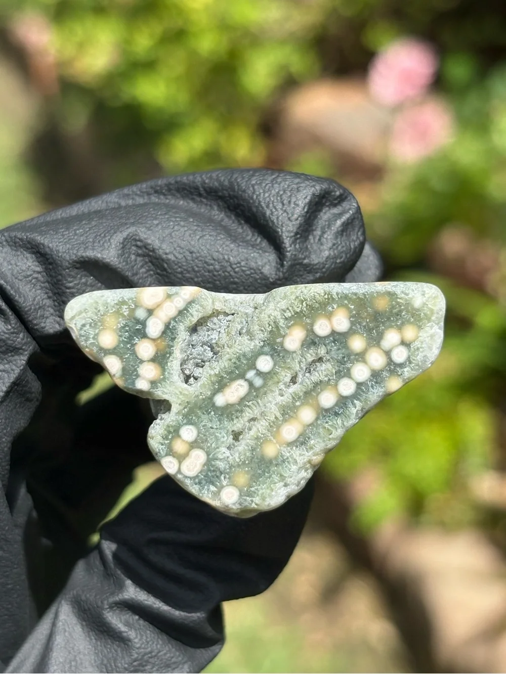 Druzy Ocean Jasper Crystal Freeform - Orbicular Jasper - Sea Jasper